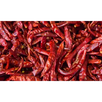 Common Guntur Dry Red Chilli Guntur Dry Red Chilli03-5463732-17426.webp